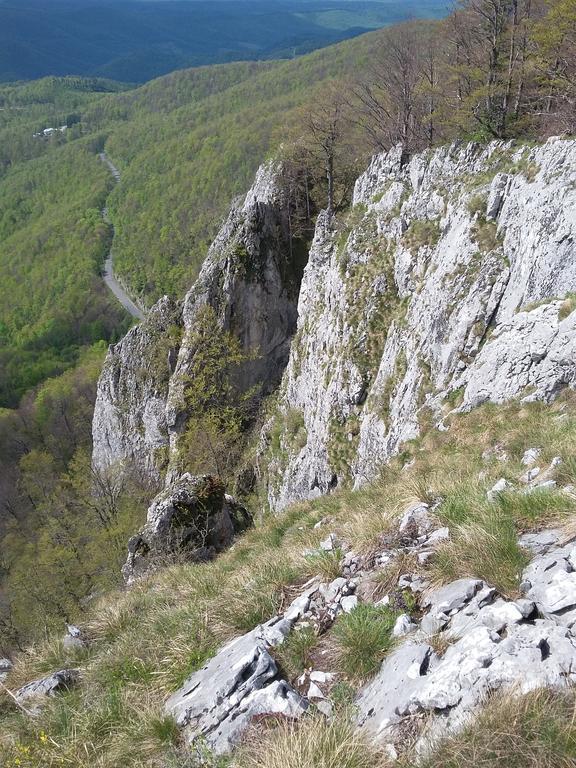 Pensiunea Piatra Graitoare Vartop Exterior foto