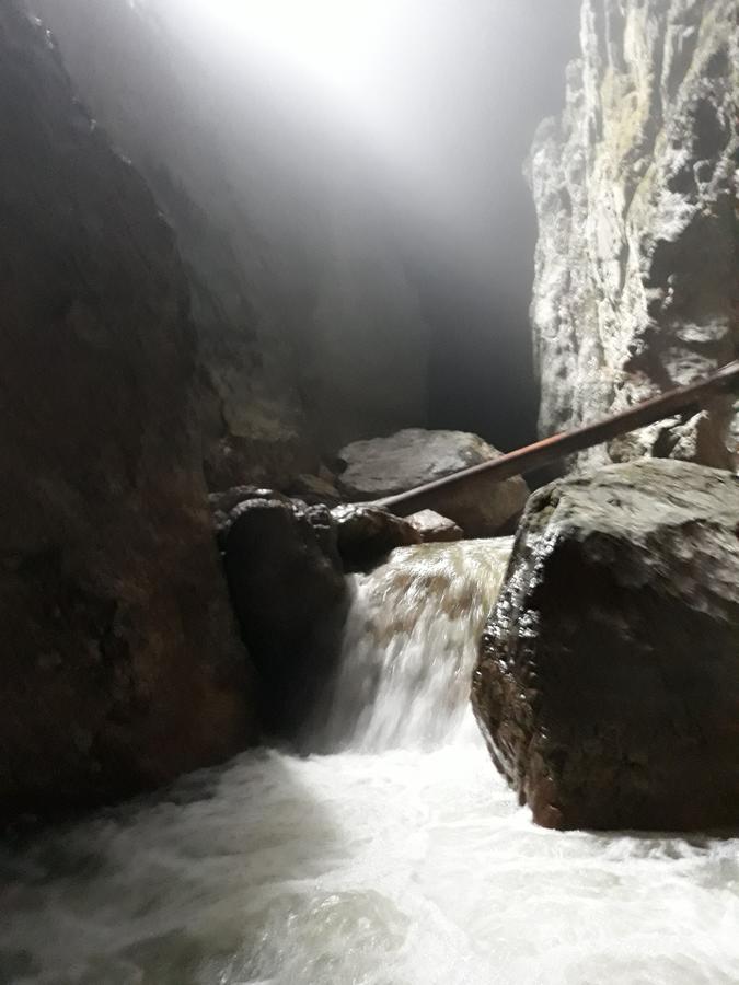 Pensiunea Piatra Graitoare Vartop Exterior foto
